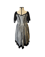 Silver Romantic-Era Ballgown Silver Romantic-Era Ballgown