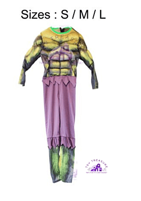 Costume 3D Hulkman
