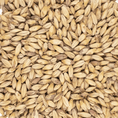 Cookie Malt - Viking Cookie Malt - Viking