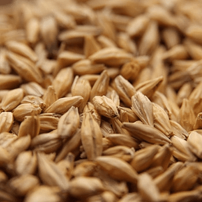 Acidulated Malt - Weyermann