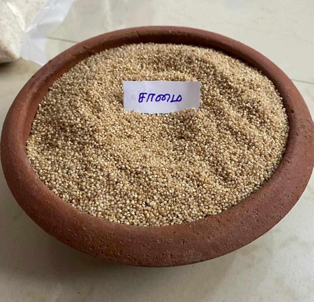 SAAMAI LITTLE MILLET 1KG (சாமை | 1 Kg) SAAMAI LITTLE MILLET 1KG (சாமை | 1 Kg)