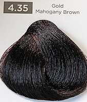 Rich, Luxurious Hair Color Rich, Luxurious Hair Color
