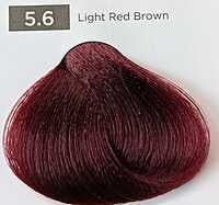 Red Easy Tech, Versum Red Easy Tech, Versum