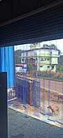 Buzz lite Pvc strip curtain 3 mm for ware house Buzz lite Pvc strip curtain 3 mm for ware house