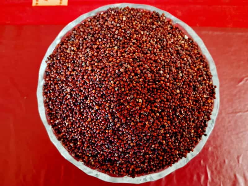 RAGI 1KG (ராகி | கேழ்வரகு | 1 Kg)