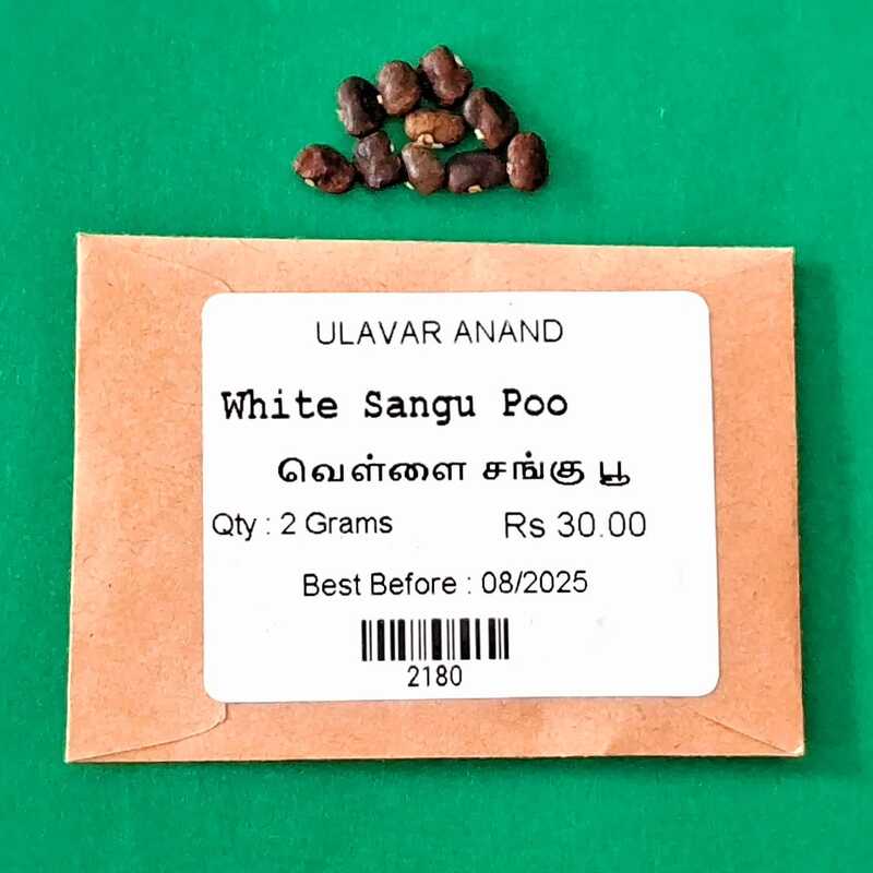 White - Sangu Poo