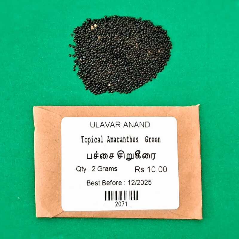 SIRU KEERAI ( சிறுகீரை )