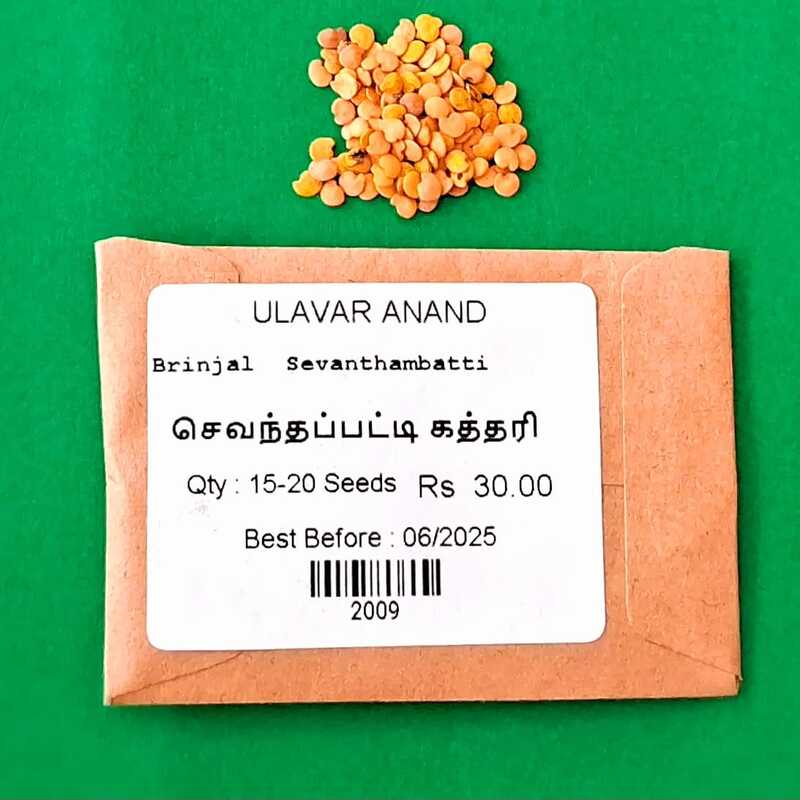 SEVANTHAMBATTI BRINJAL ( செவந்தம்பட்டி கத்தரி