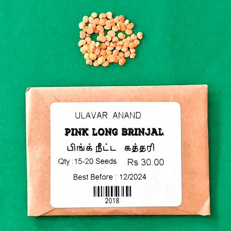 Pink Long Brinjal  | பிங்க் நீட்ட கத்தரி