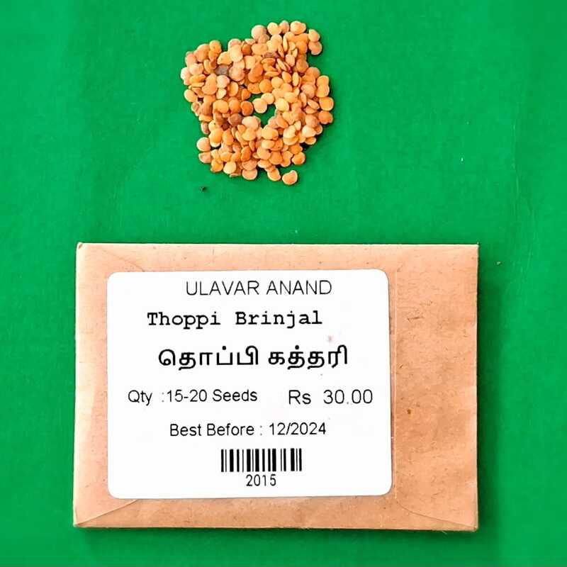 Thoppi Brinjal ( தொப்பி கத்தரி )
