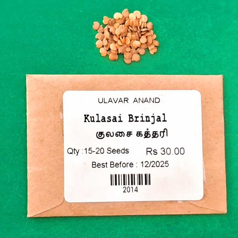 KULASAI BRINJAL (குலசை கத்தரி)
