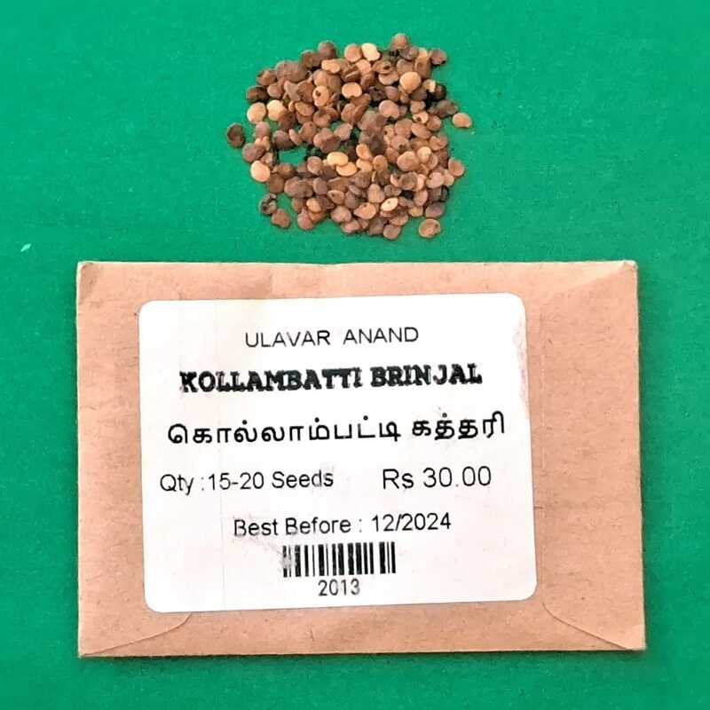 KOLLAMBATTI BRINJAL (கொல்லம்பட்டி கத்தரி)