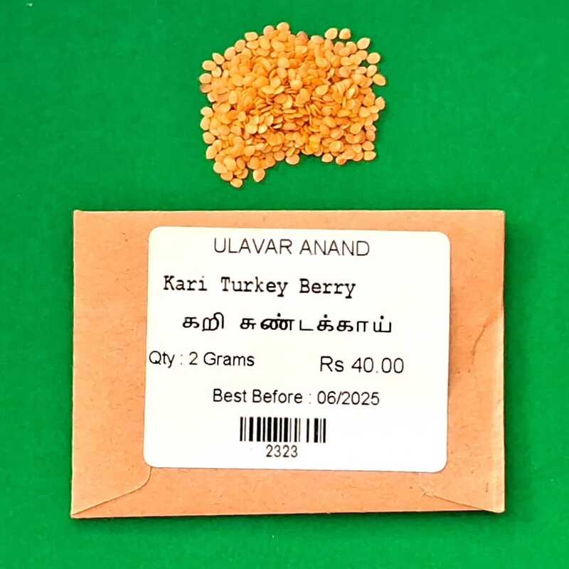 கறி சுண்டக்காய் | Kari Turkey Berry