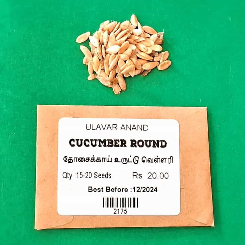 தோசைக்காய் உருட்டு வெள்ளரி | Cucumber Round