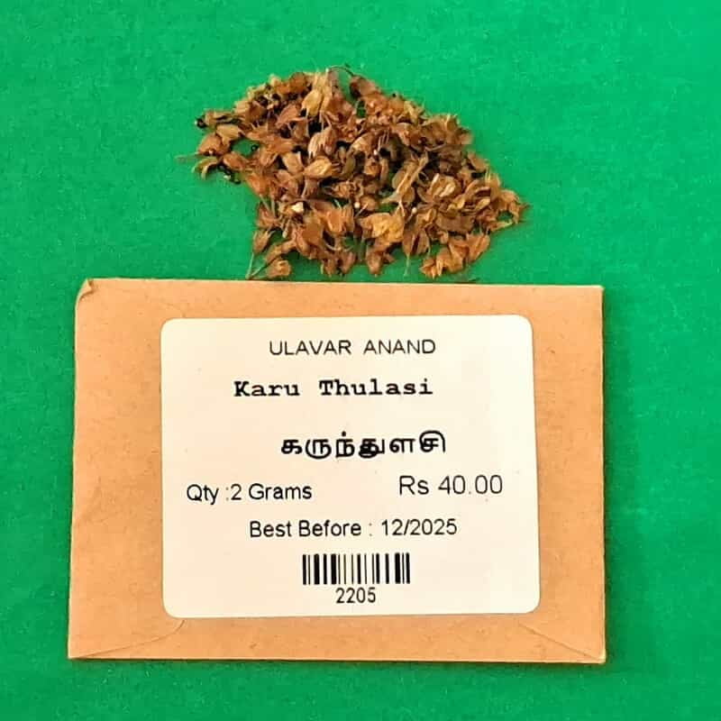 karuthulasi ( கருந்துளசி )