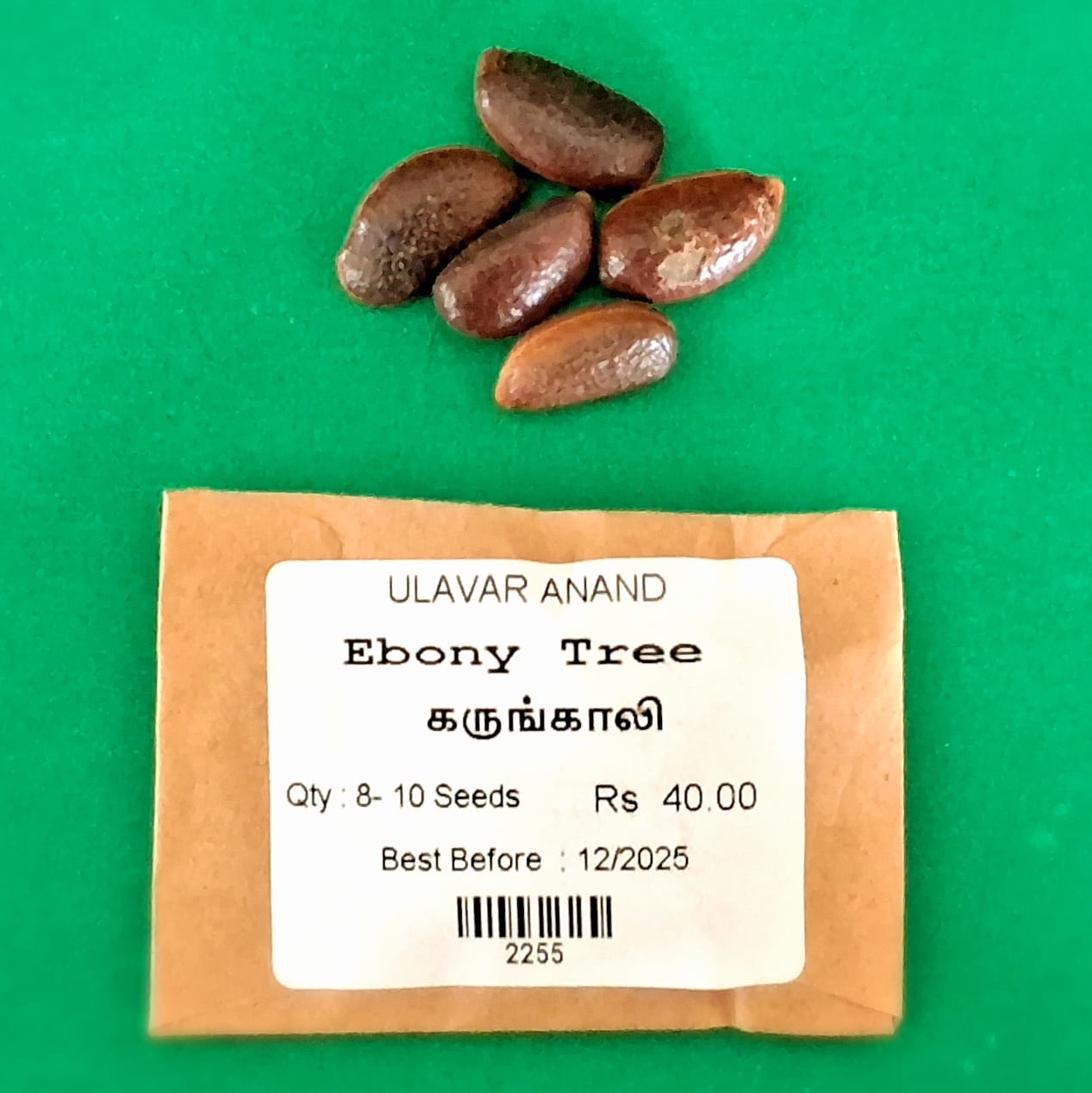 Ebony(Karungali) Tree Seed ( கருங்காலி )