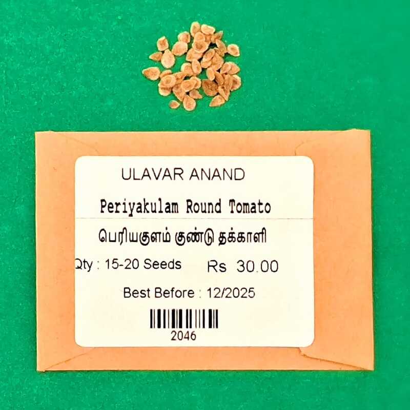 Periyakulam kundu Tomotto ( பெரியகுளம் குண்டு தக்காளி  )