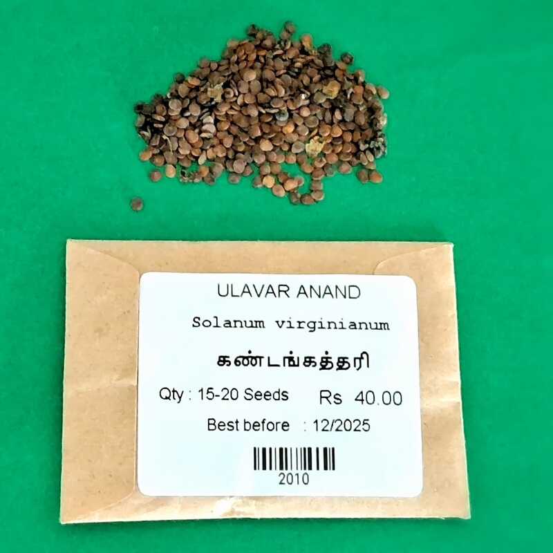 கண்டங்கத்திரி | Kandankathiri