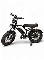 Windhorse V8 Electric Scooter Windhorse V8 Electric Scooter