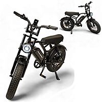 Windhorse V8 Electric Scooter Windhorse V8 Electric Scooter