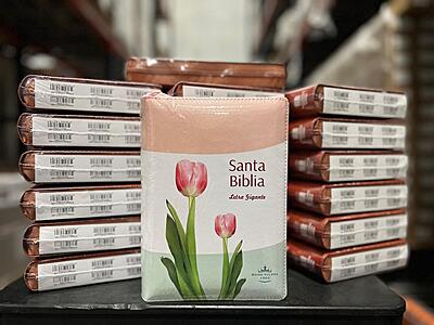 Santa Biblia Manual Letra Gigante Imitación Piel, Tulipanes - Caja 20 unidades