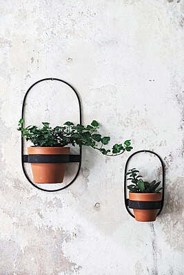 Oval Wall Mount Plant Stand Set Of Two