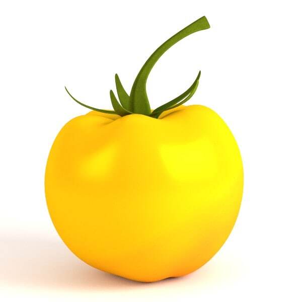 Apple Yellow line Tomotto ( ஆப்பிள் மஞ்சள் வரி தக்காளி )