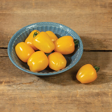 Apple Yellow line Tomotto ( ஆப்பிள் மஞ்சள் வரி தக்காளி )
