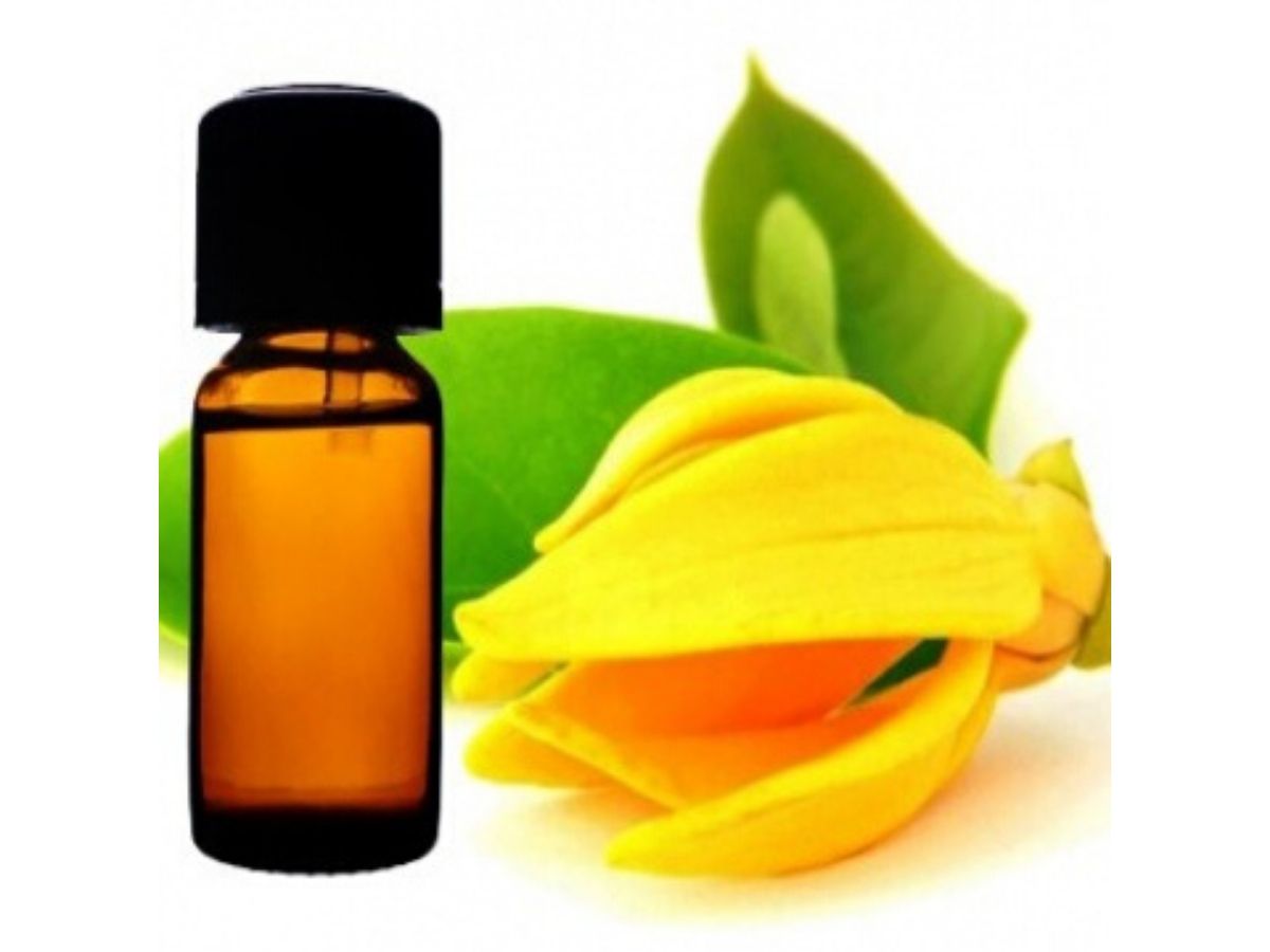 Ylang Ylang Essential Oil