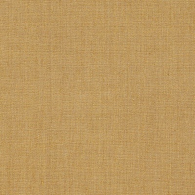 Amazon - 04