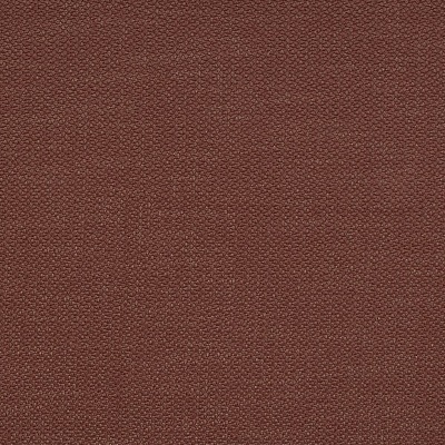 Argo - 04