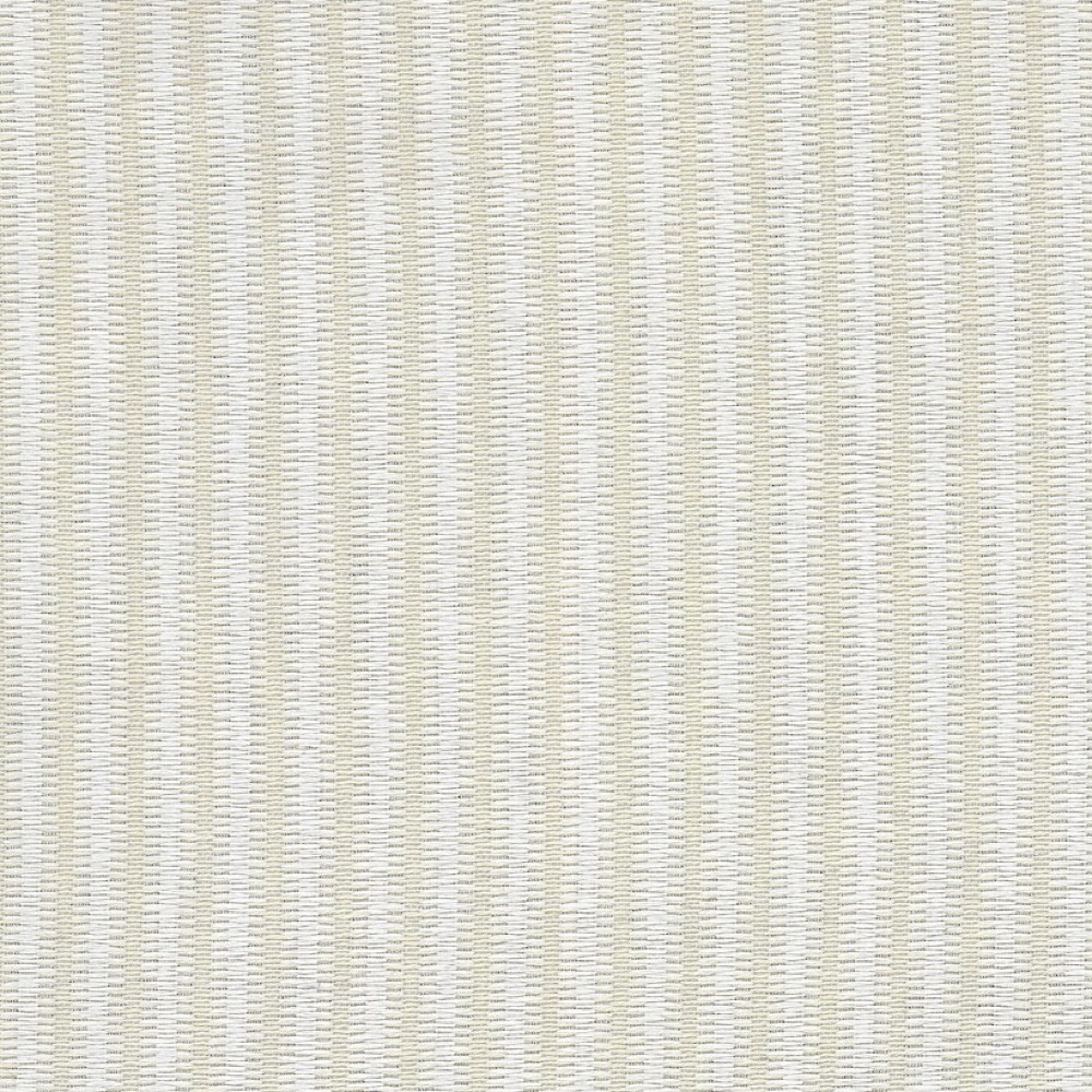 Baleen - 01