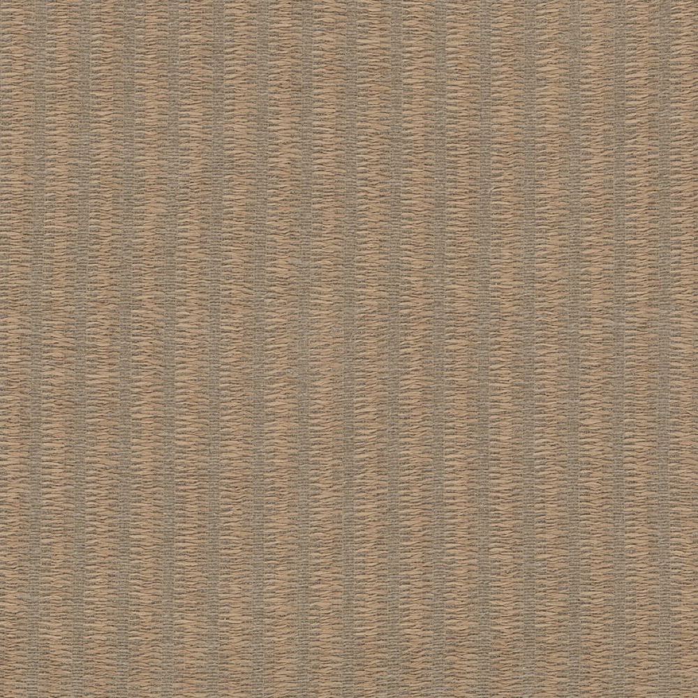 Baleen - 03