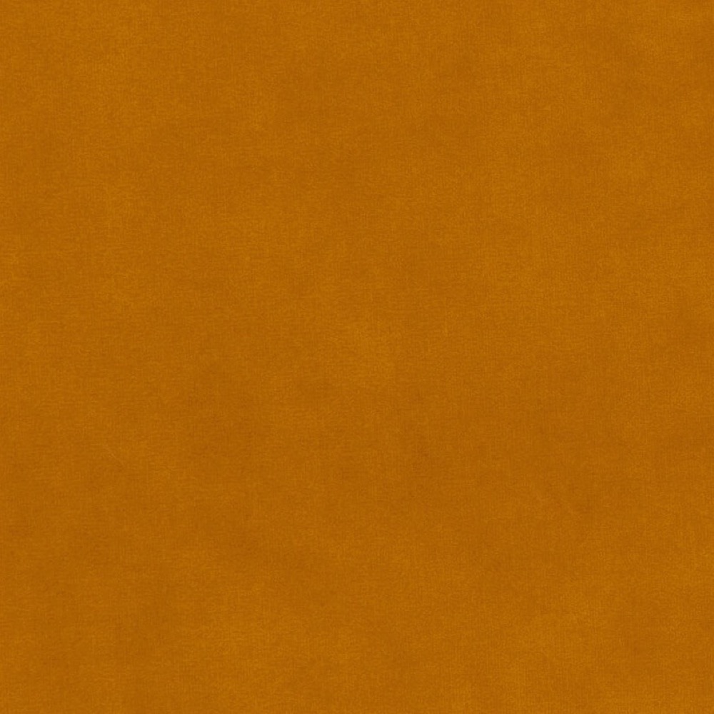 Bayan - 01