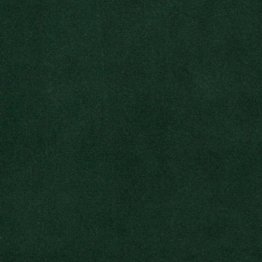 Bayan - 04