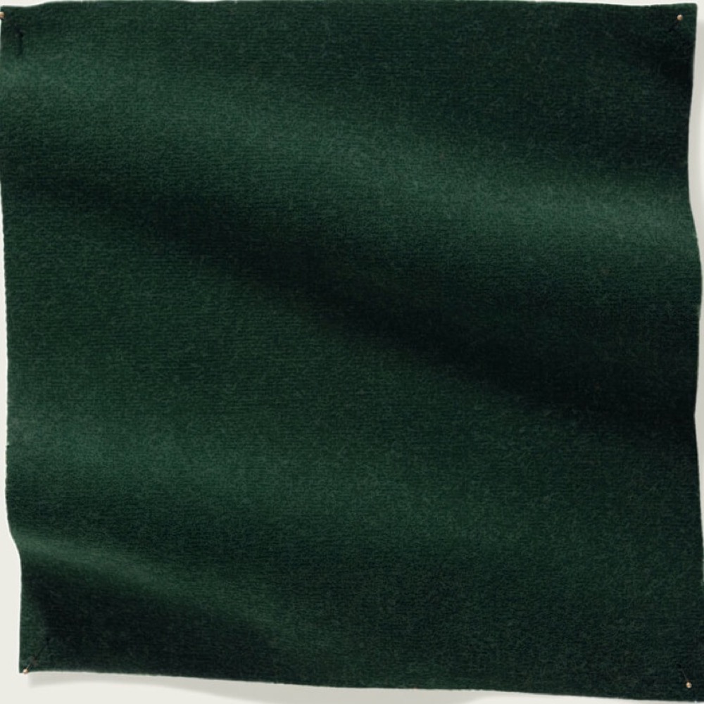 Bayan - 04