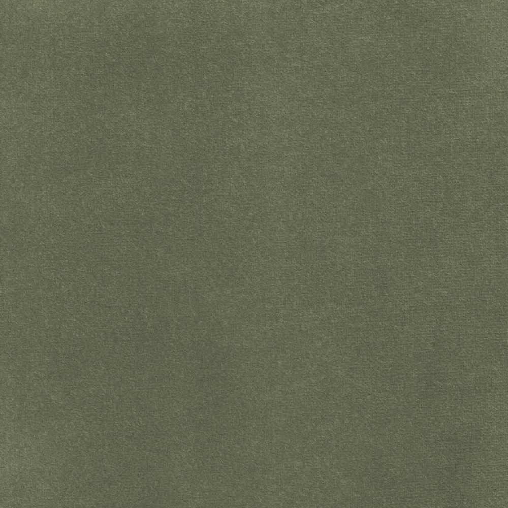 Bayan - 20