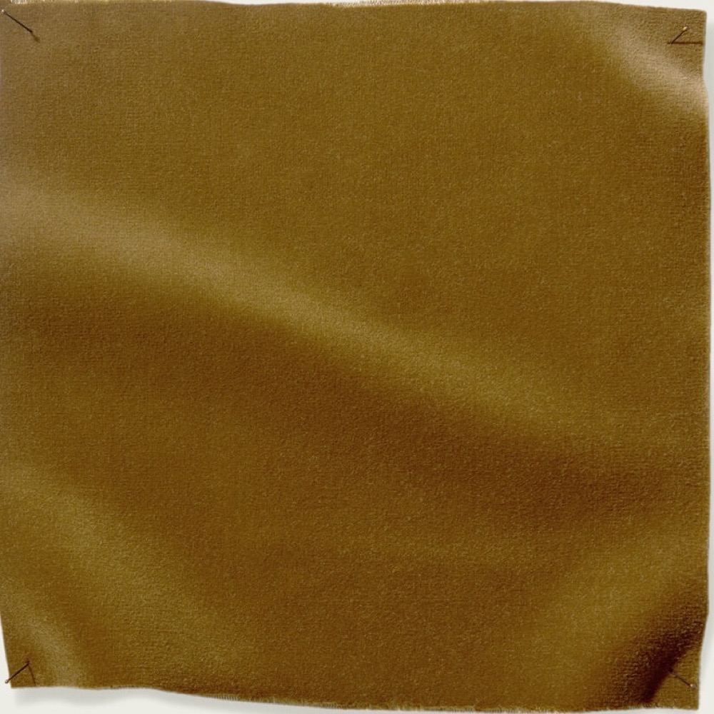 Bayan - 21