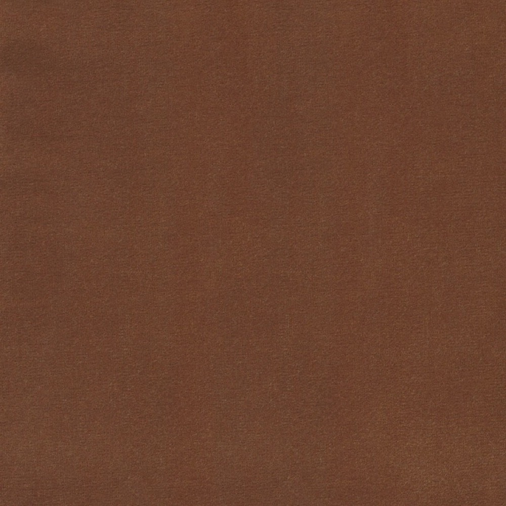 Bayan - 31