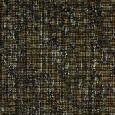 Brassica - 04