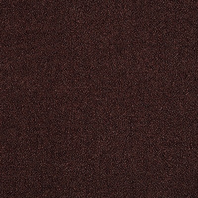 Campo - 03