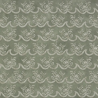 Cassiopea - 03