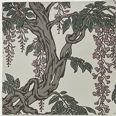 Floribunda WP – 01