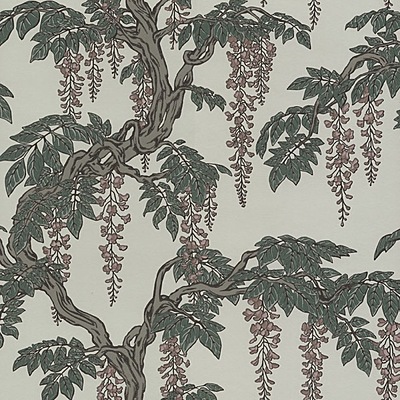 Floribunda WP – 01