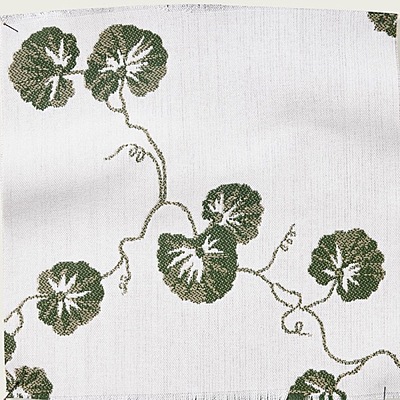 Hedera - 01