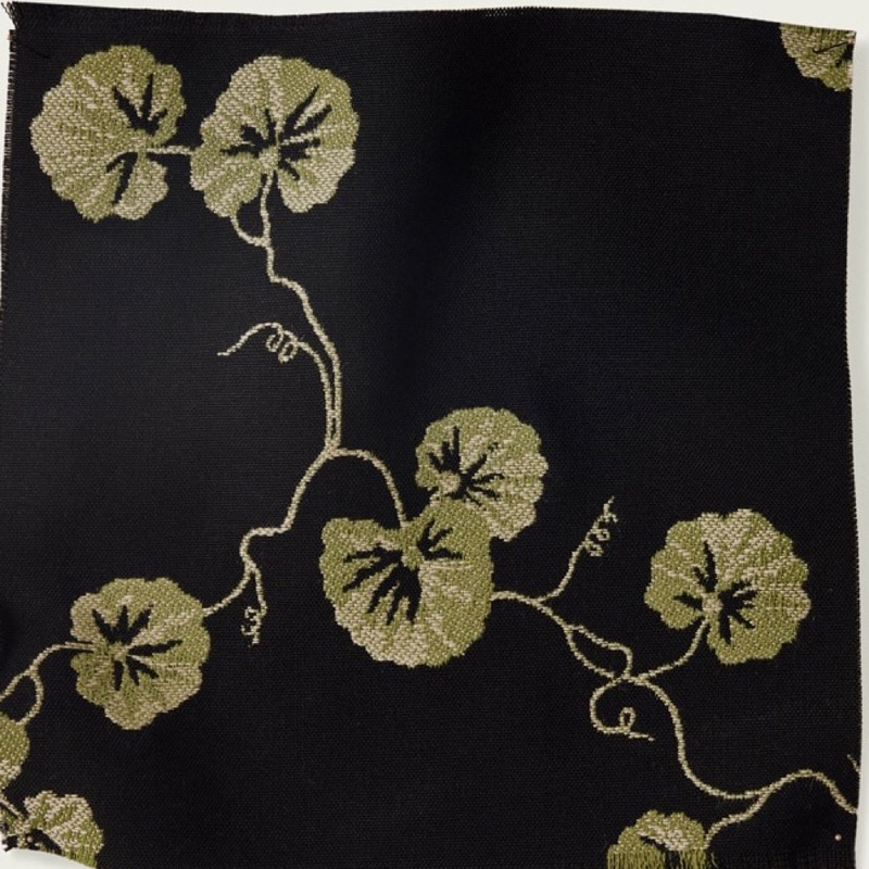 Hedera - 03