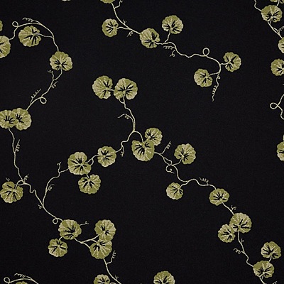 Hedera - 03