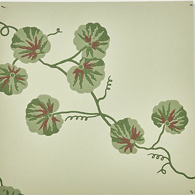 Hedera WP – 01
