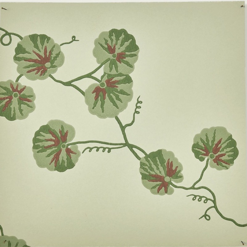 Hedera WP – 01