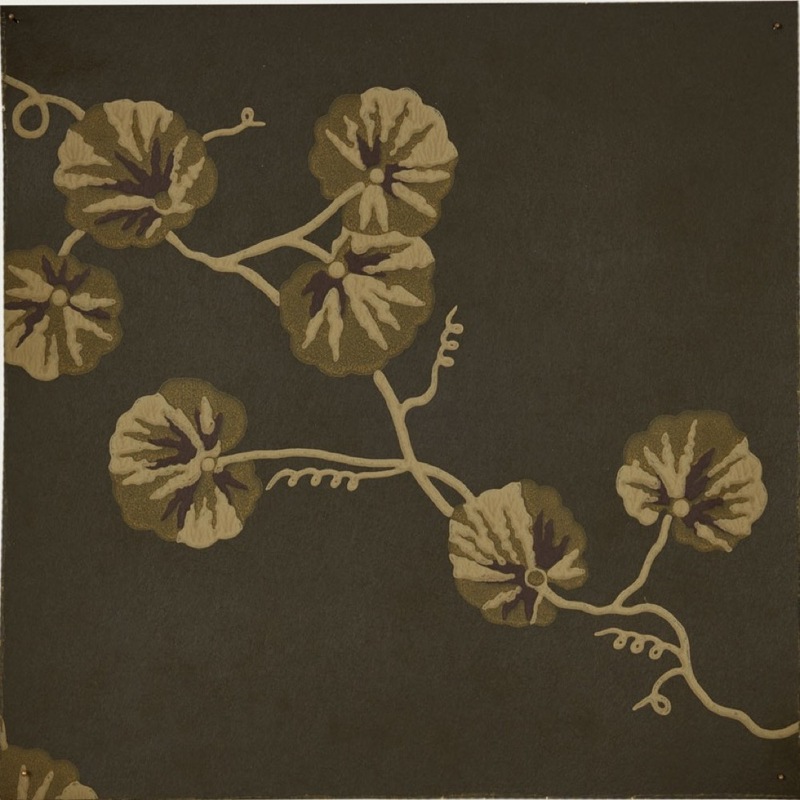 Hedera WP – 02